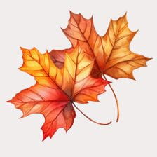 watercolor autumn leaves clipart