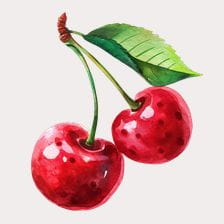delicious cherry clipart