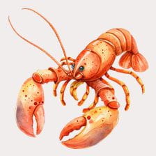 lobster clipart