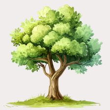 Watercolor Green Tree Clipart