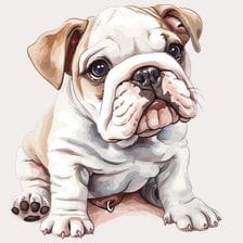cute bulldog clipart