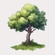 watercolor green tree clipart