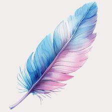 Watercolor Pink Blue Feather Clipart