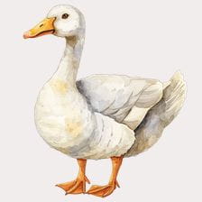 cute goose clipart