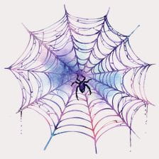 Purple Spider Web Clipart
