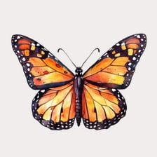 orange butterfly clip art