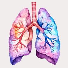 Human Lungs Watercolor Illustration