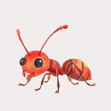ant clipart