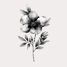 flower clipart black and white