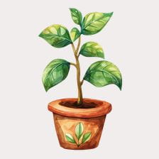 potted plant clipart