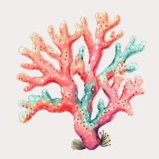 cute coral clipart