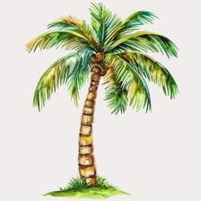 tropical tree clipart