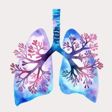 Watercolor Lungs Anatomy Illustration