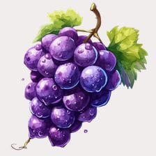 Watercolor Purple Grapes Clipart