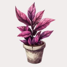 Purple Plant Watercolor Clipart