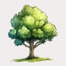Cartoon Green Tree Clipart