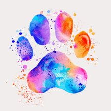 cute paw print clipart