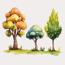 Autumn Watercolor Trees Clipart